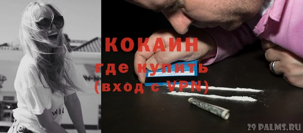 ГАЛЛЮЦИНОГЕННЫЕ ГРИБЫ Вязники