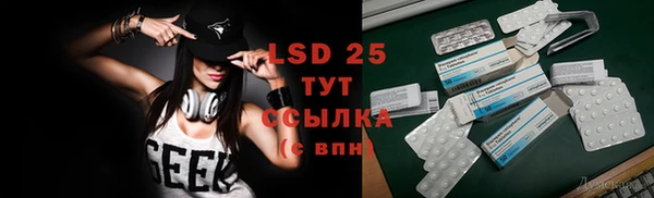 ГАЛЛЮЦИНОГЕННЫЕ ГРИБЫ Вязники