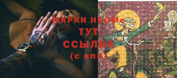 ГАЛЛЮЦИНОГЕННЫЕ ГРИБЫ Вязники