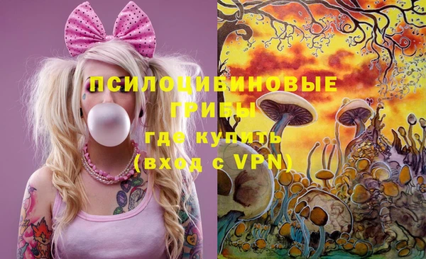 spice Вязьма