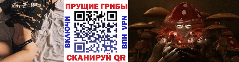 omg онион shop как зайти Галлюциногенные грибы прущие грибы Вичуга