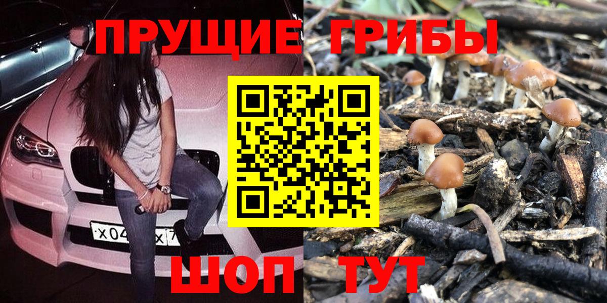 Галлюциногенные грибы мицелий  Вичуга 