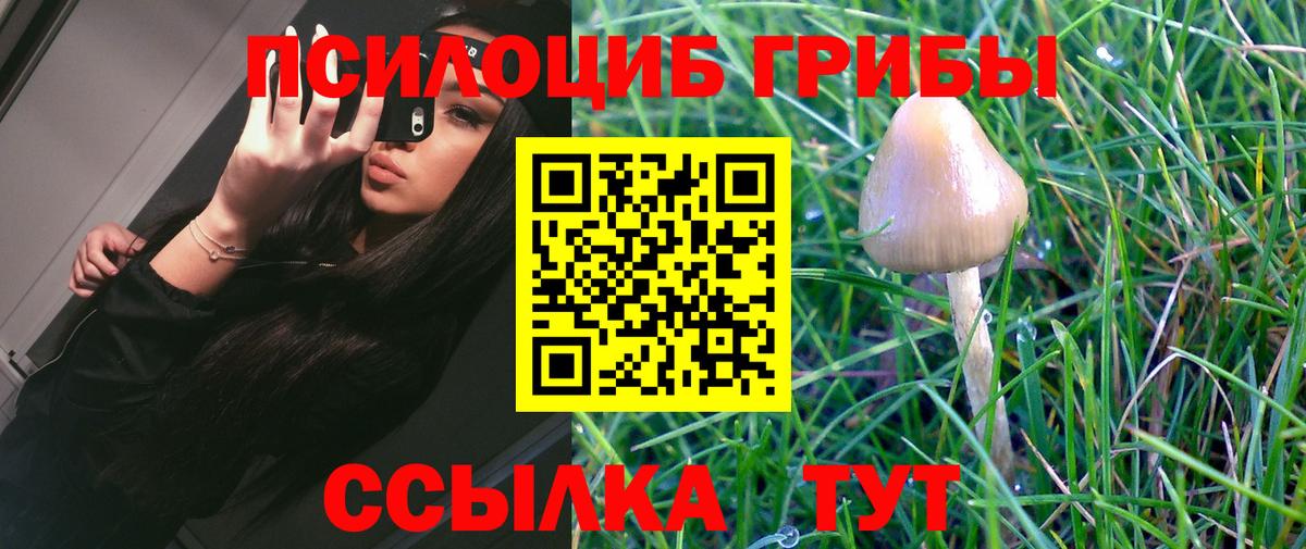 где найти наркотики  Вход с VPN  Галлюциногенные грибы Cubensis  Вичуга  Галлюциногенные грибы прущие грибы 